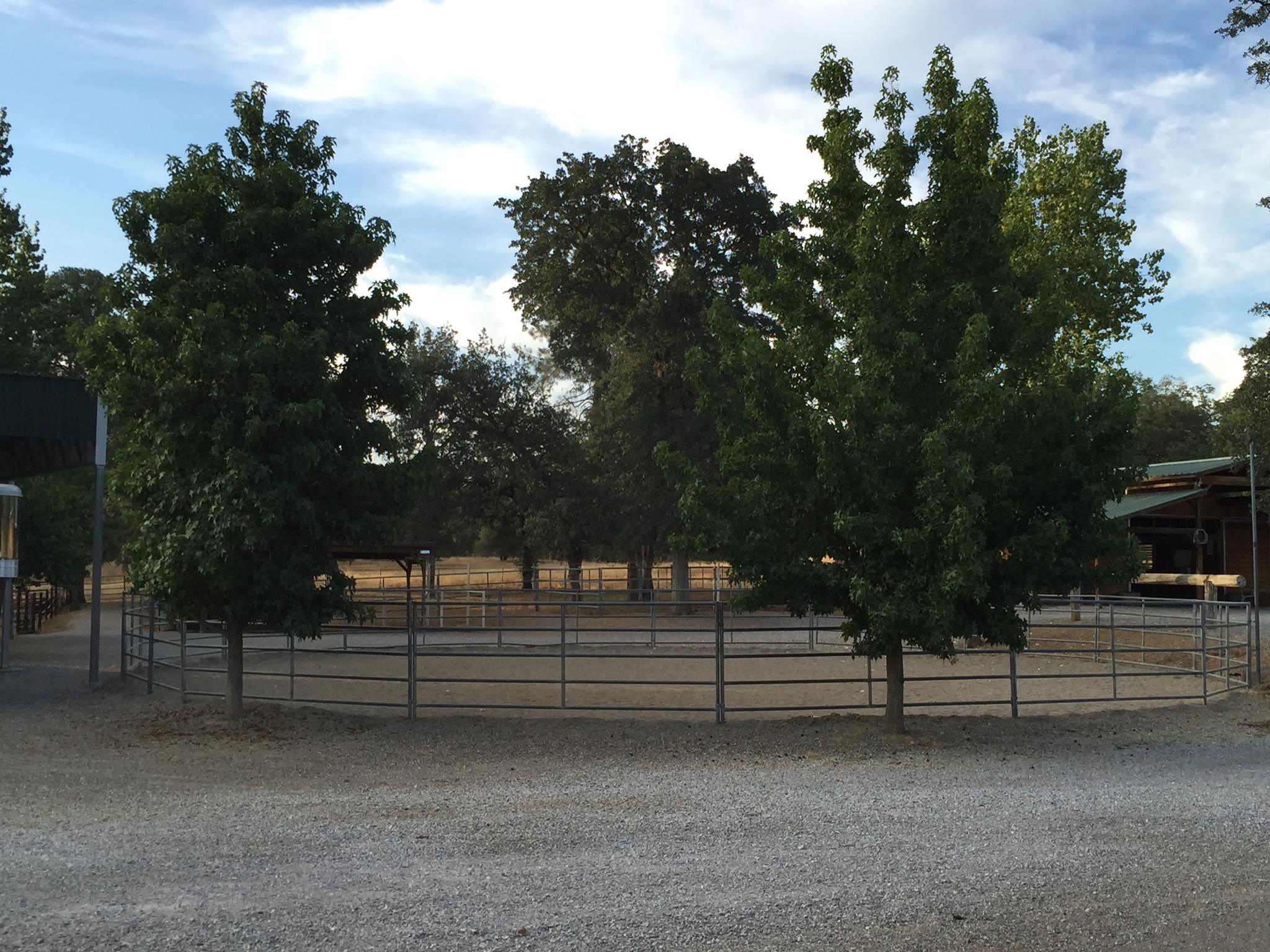 Our 60' lighted round pen  