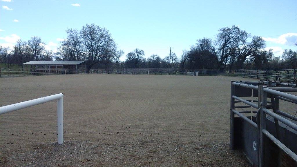 Our aren is 130'x225' with sand footing. It is groomed daily and watered within reason of the drought. It offers plenty of room to work multiple horses.