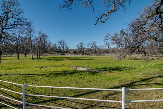 Another view of our 300' paddocks 